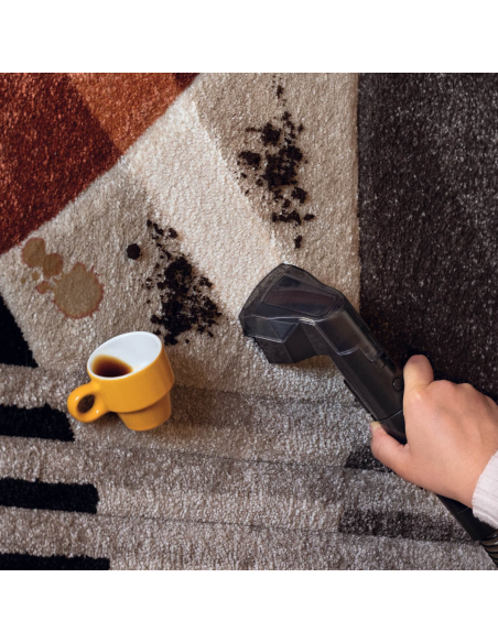 2482 Ariete Spot Cleaner Heat Pro 750W vaipade ja polstri puhasti