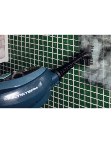 4164 Ariete aurupuhasti 10in1 aurumopp sinine