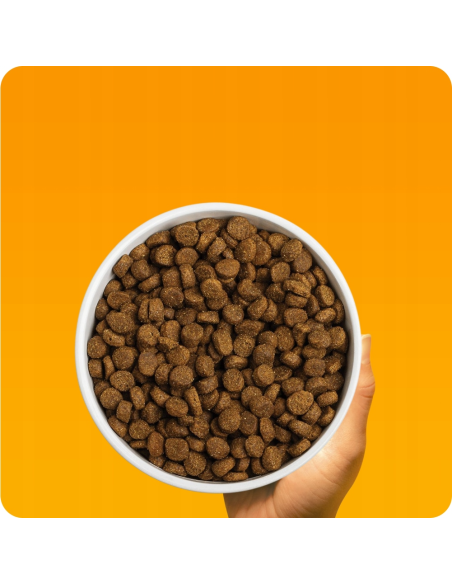 PEDIGREE Junior kuivtoit kutsikatele linnuliha ja köögiviljadega, 12 kg