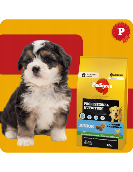 PEDIGREE Junior kuivtoit kutsikatele linnuliha ja köögiviljadega, 12 kg