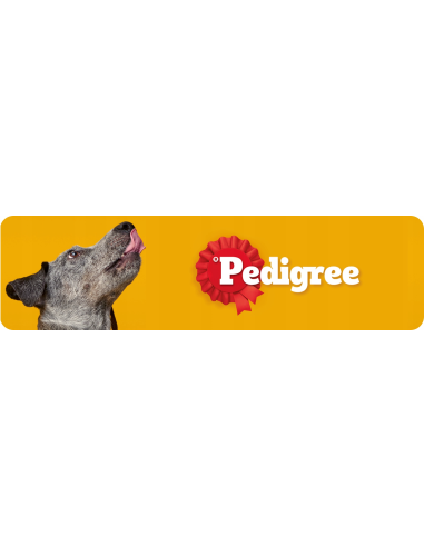PEDIGREE Junior kuivtoit kutsikatele linnuliha...
