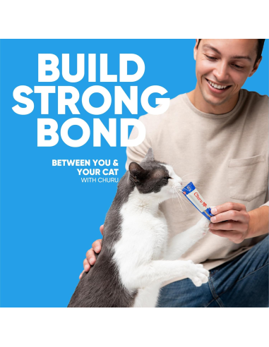 KAST 16 tk! Inaba Churu Hairball Control...