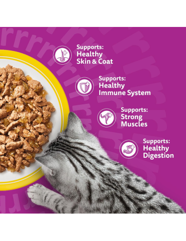 Whiskas Adult kassikonserv tarretises...