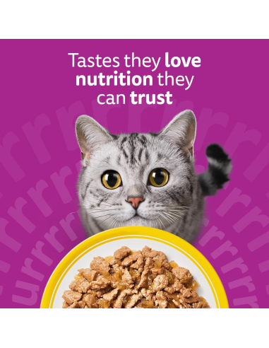 Whiskas Adult kassikonserv tarretises...