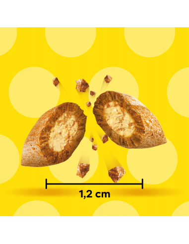 Dreamies maiused kassile kanaga, juustuga ja...