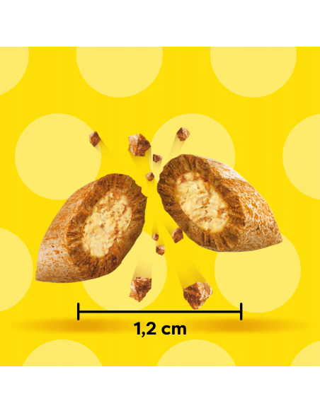 Dreamies maiused kassile kanaga, juustuga ja lõhega 12 X 60 g