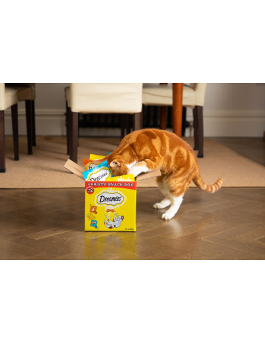 Dreamies maiused kassile kanaga, juustuga ja...