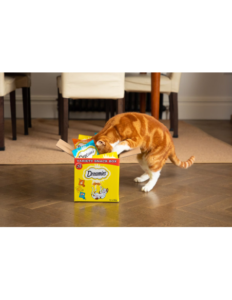 Dreamies maiused kassile kanaga, juustuga ja lõhega 12 X 60 g