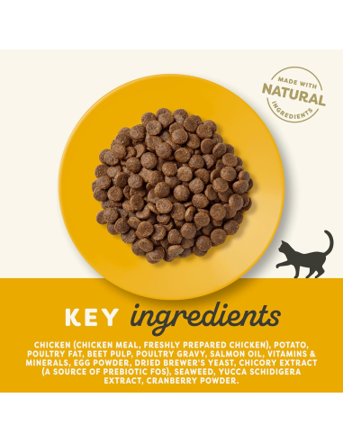 APPLAWS kassi kuivtoit kana (teraviljavaba) 2kg
