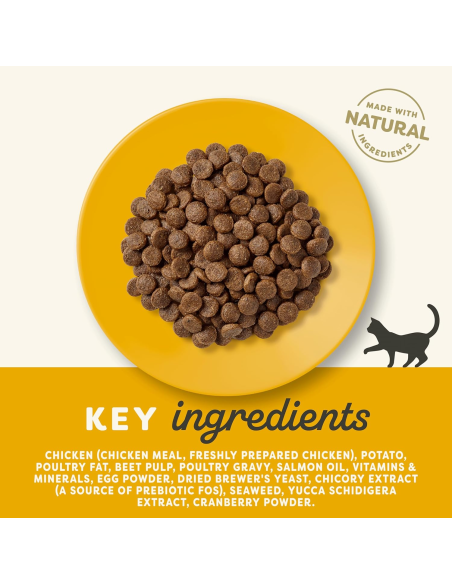 APPLAWS kassi kuivtoit kana (teraviljavaba) 2kg