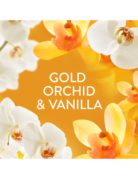 KAST 4 tk! LENOR Pesuloputusvahend Gold Orchid & Vanilla 2 x 1239 ml (118 Pesukorda)