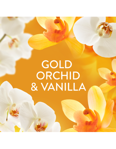 KAST 6 tk! LENOR pesuloputusvahend Gold Orchid...