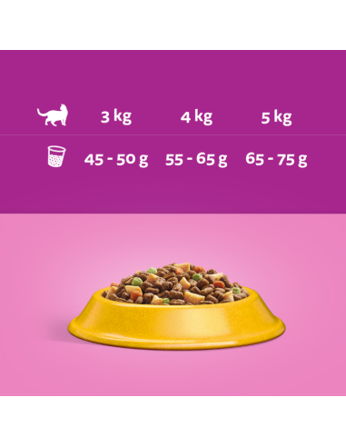 WHISKAS Kuivtoit Adult 7 kg kassidele kana ja...