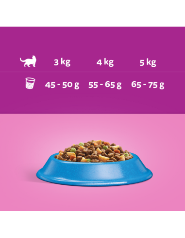 WHISKAS Kuivtoit Adult 7 kg kassidele tuunikalaga