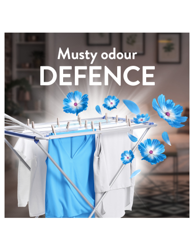 LENOR Pesuloputusvahend Fresh Wind 1.204 L (86...