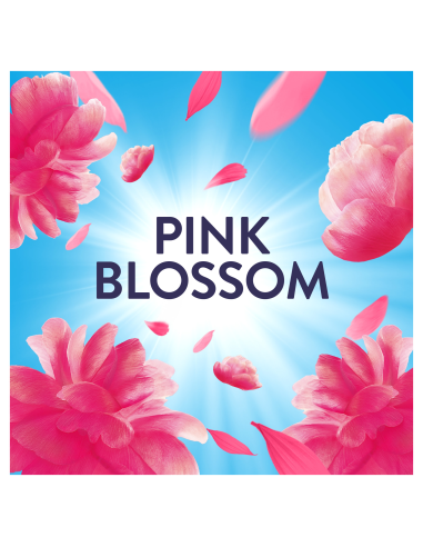 LENOR pesuloputusvahend Pink Blossom 1,204 L