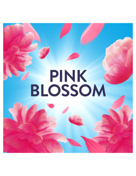 KAST 6 tk! LENOR pesuloputusvahend Pink Blossom 1,204 L