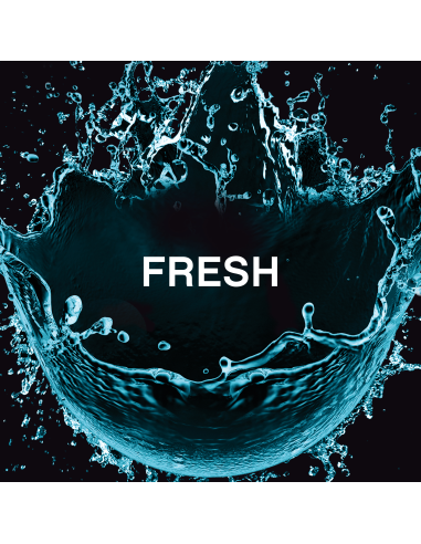 LENOR Lõhnagraanulid Unstoppable Fresh 495 g...