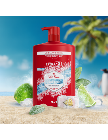 KAST 4 tk! Old Spice Cold Spice meeste dušigeel...