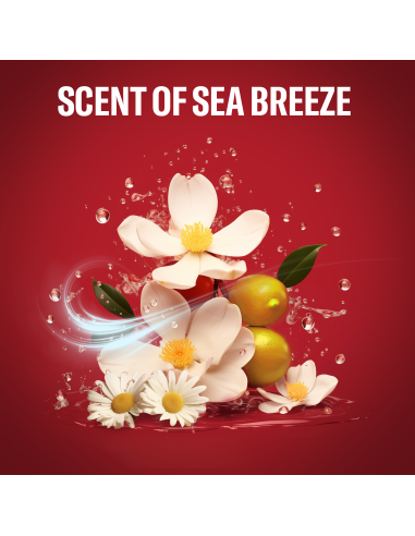 Old Spice Deep Sea dušigeel ja šampoon 4x1000ml