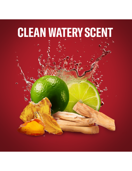 Old Spice Whitewater dušigeel ja šampoon 4x1000 ml