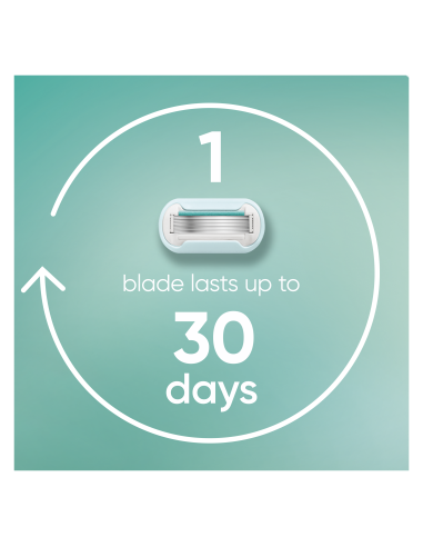 KAST 20 tk! Gillette Venus Deluxe Smooth...