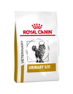 Royal Canin kuiv kassitoit...