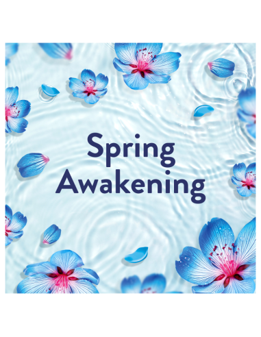 LENOR Pesuloputusvahend Spring Awakening 2.65 L...