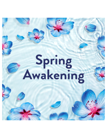 KAST 4 tk! LENOR Pesuloputusvahend Spring Awakening 2.65 L (126 Pesukorda)