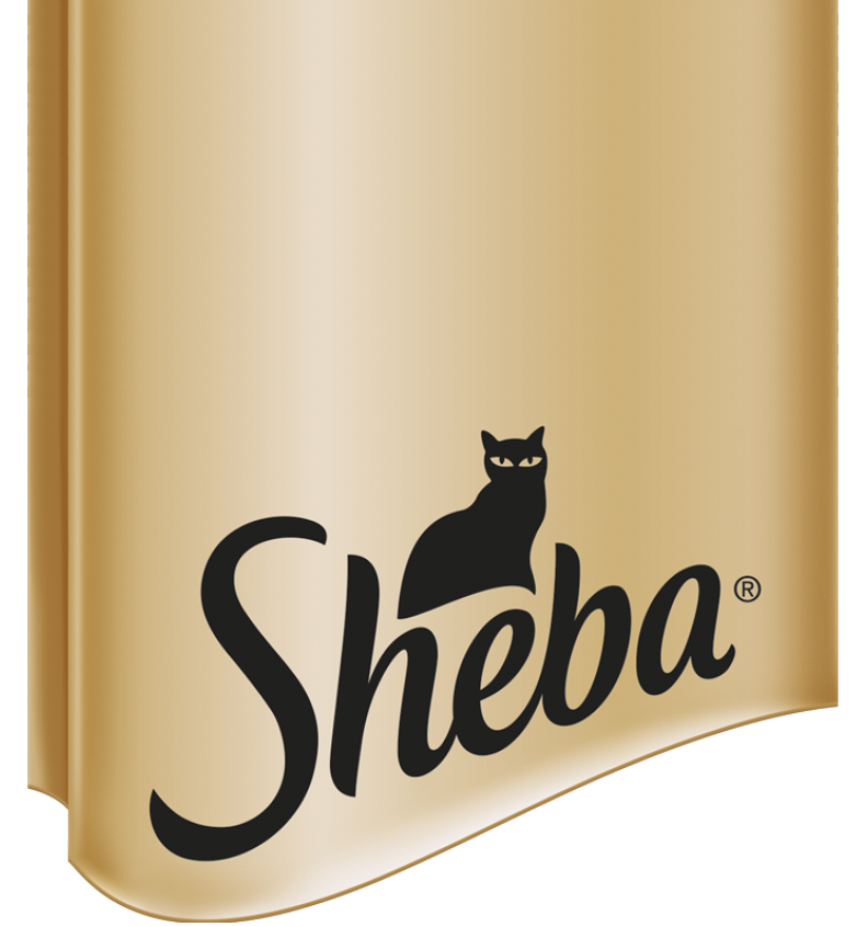 SHEBA