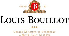 Louis Bouillot