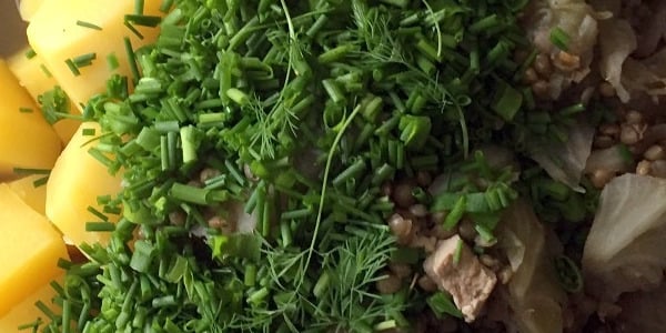 Kapsahautis marineeritud tofu ja taimse hapukoorega