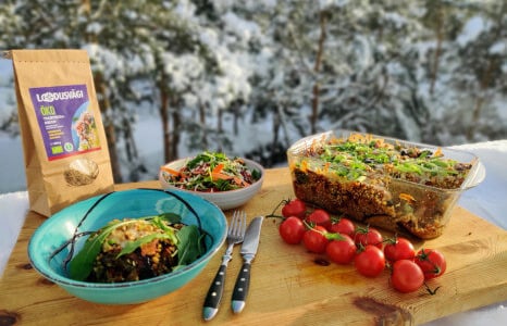 Ahjupada toortatraga