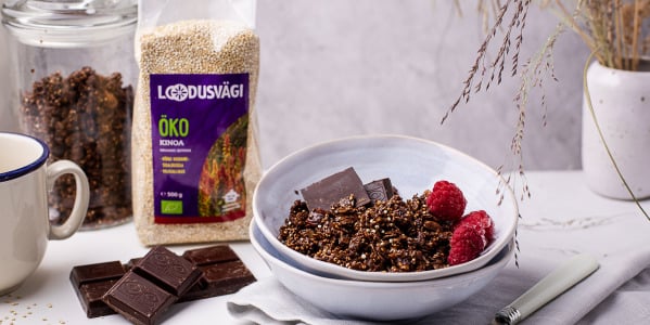 Šokolaadine müsli kinoaga