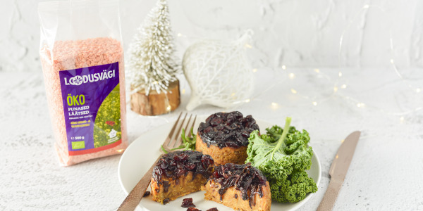 Mini-läätseterriin sibula ja jõhvikatega