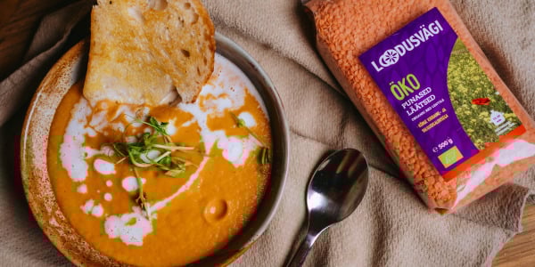 Läätse-porgandi püreesupp