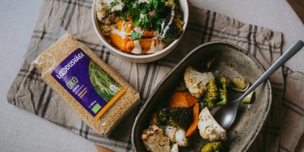 Hirsikauss köögiviljade ja küüslaugukastmega 