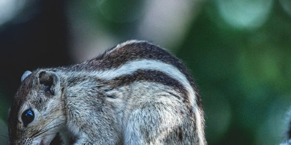 8 põhjust, miks tunned alalõpmata piinavat näljatunnet